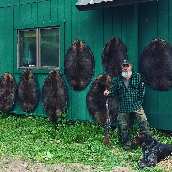 Mike Horstman with his dog Adele at his feet and bear tans in his background cabin wall.